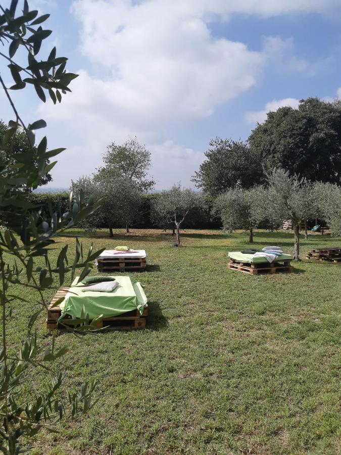 Pace, Luminosita E Comodita A Due Passi Dal Garda Volta Mantovana Luaran gambar