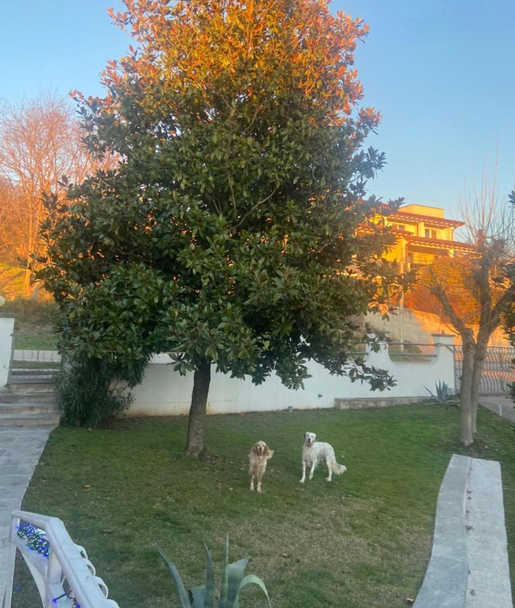 Pace, Luminosita E Comodita A Due Passi Dal Garda Volta Mantovana Bilik gambar